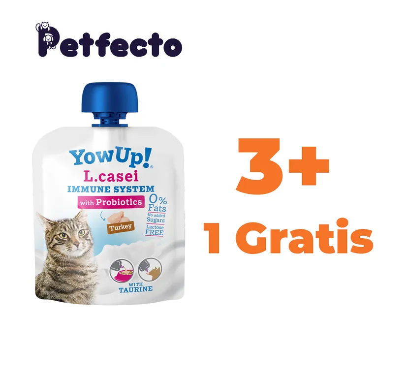 PACK YOGURT PROBIOTICO PARA GATOS 85 gr