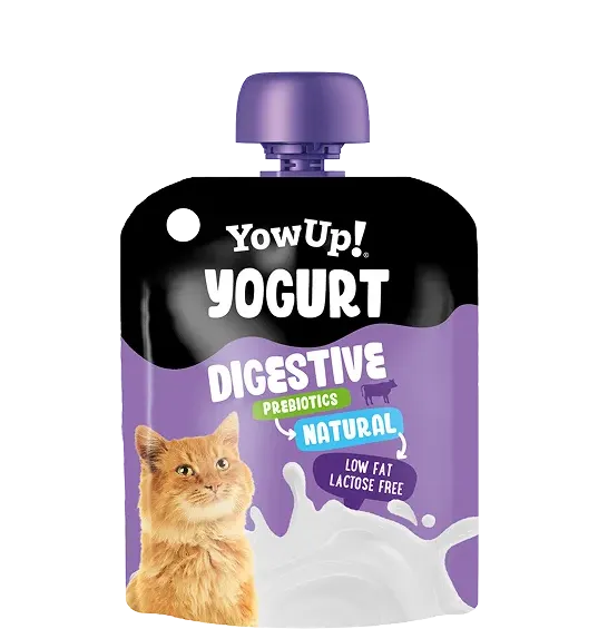Yogur Digestive Natural para Gatos
