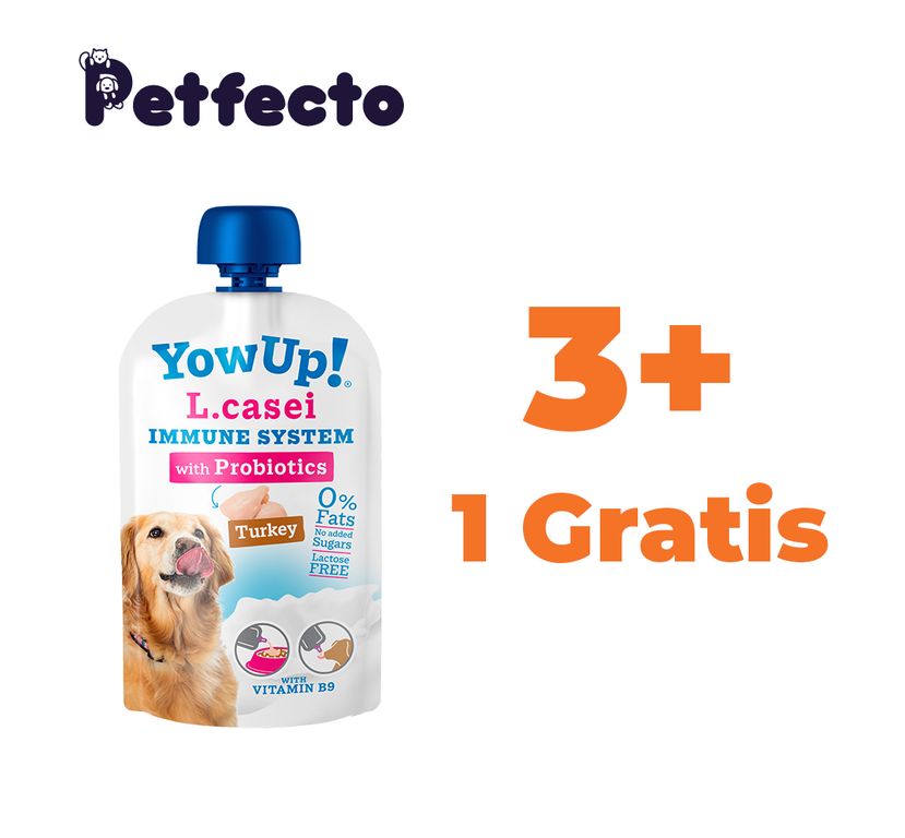 PACK YOGURT PROBIOTICO PARA PERROS 115 gr