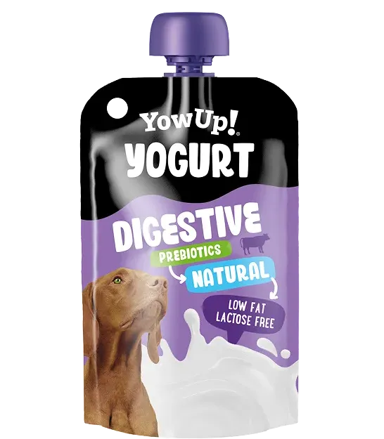 Yogur Digestive Natural para Perros