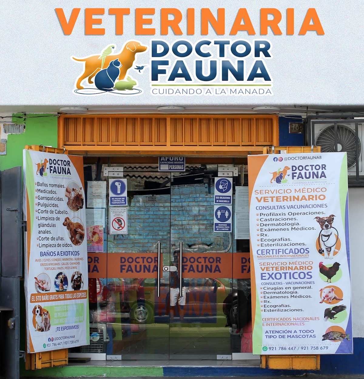 Doctor Fauna