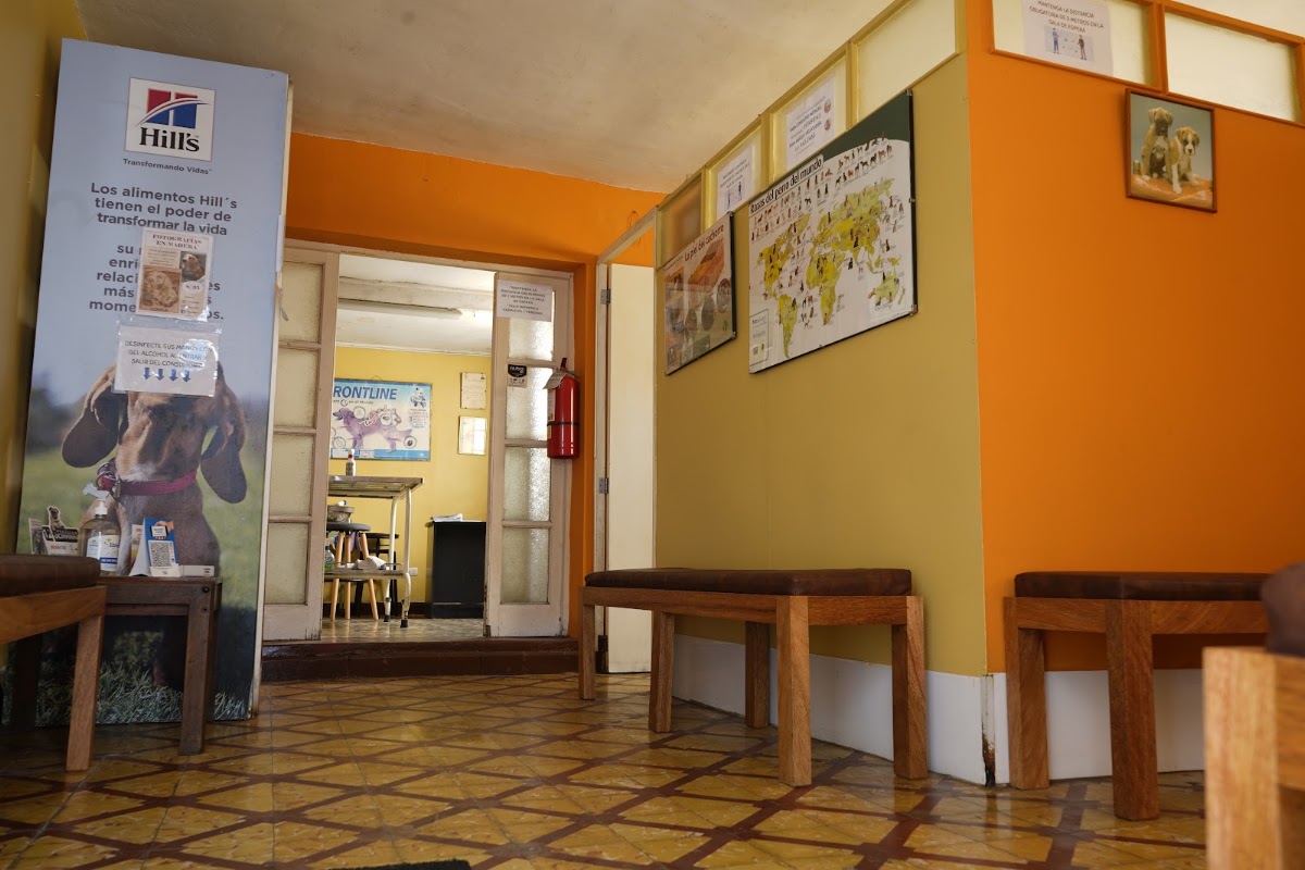 Consultorio Veterinario Moore