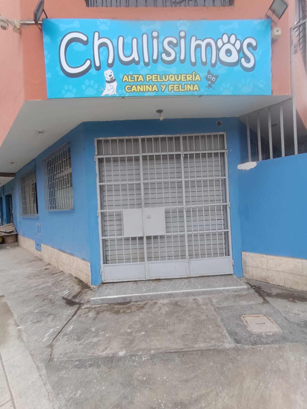 Peluquería canina y felina "CHULISIMOS"