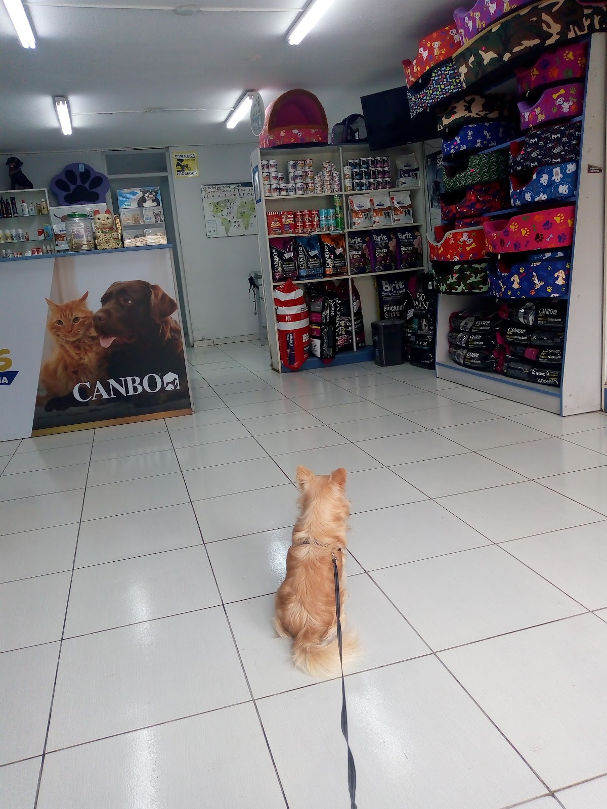 Veterinaria Provet's