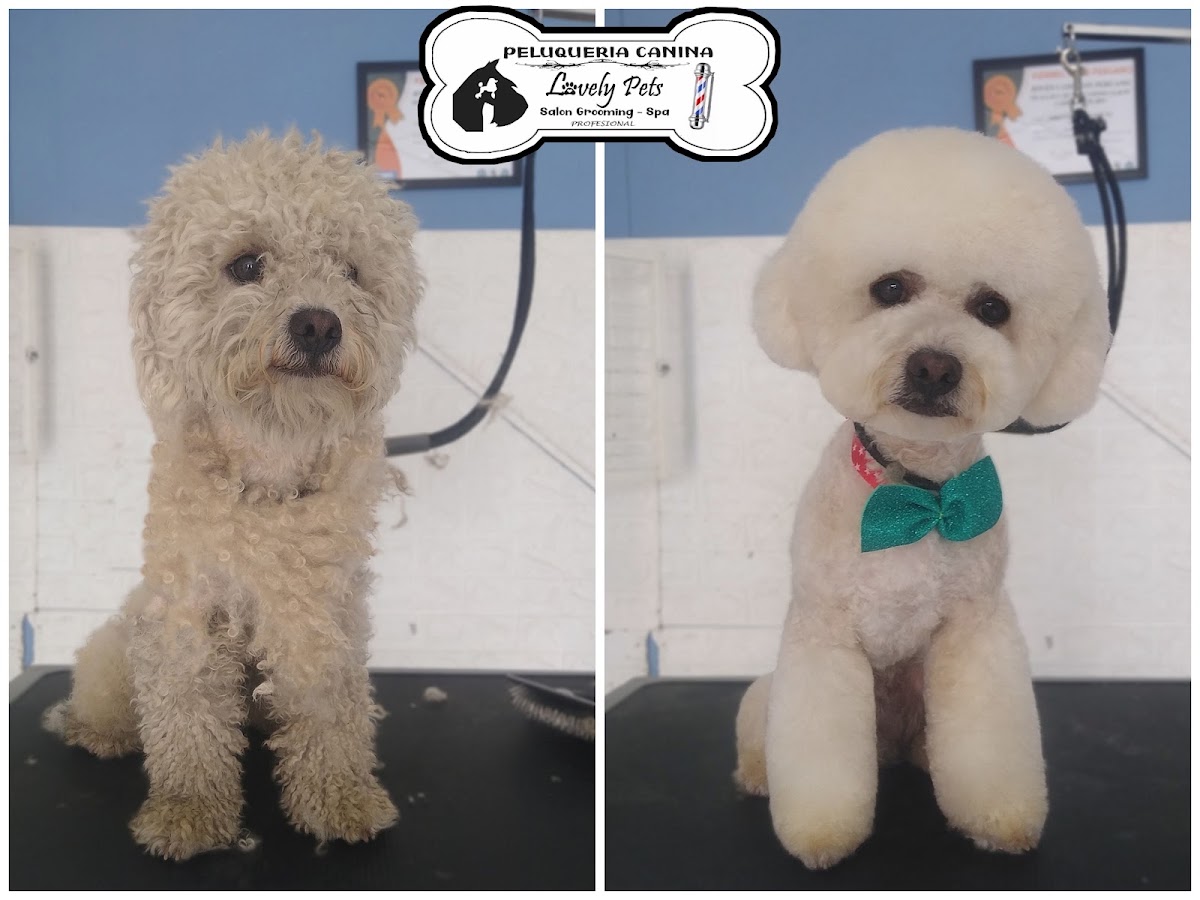 LovelyPets