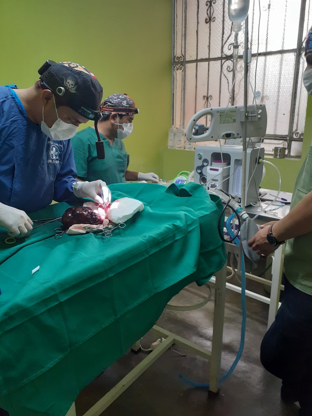 Veterinaria Consentidos - Los Olivos