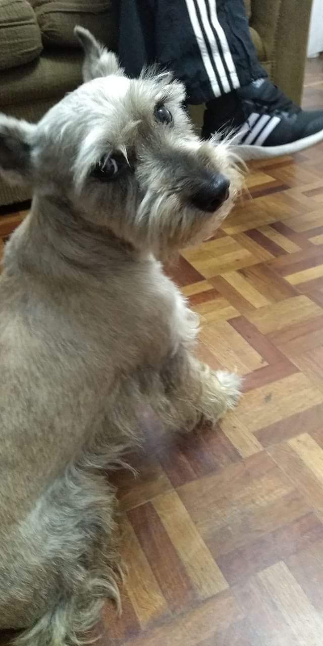 Clínica Veterinaria Hernández