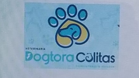 Veterinaria Dogtora Colitas