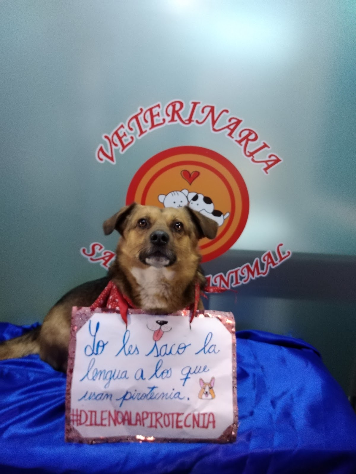 Veterinaria Sanidad Animal