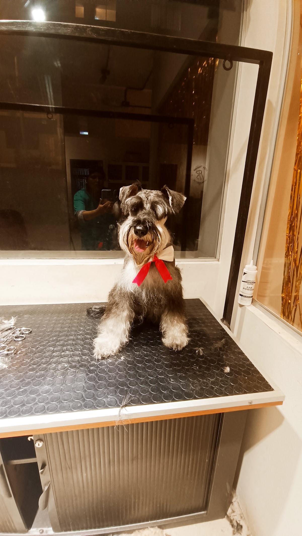 Smart Pets Vetererinaria