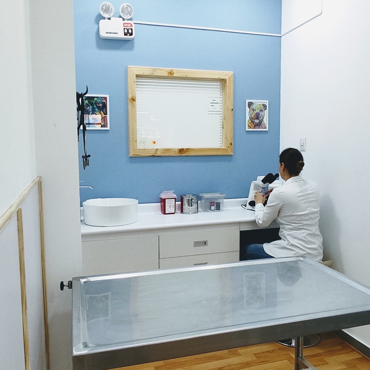 Clínica Veterinaria Groomers La Molina