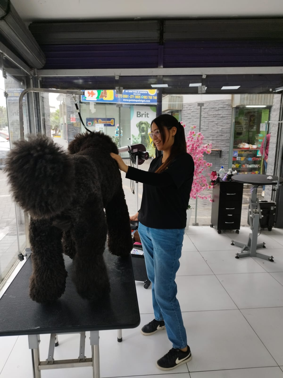 GLAMOUR PERRUNO - ESTETICA CANINA INTELIGENTE Y GROOMER PROFESIONAL