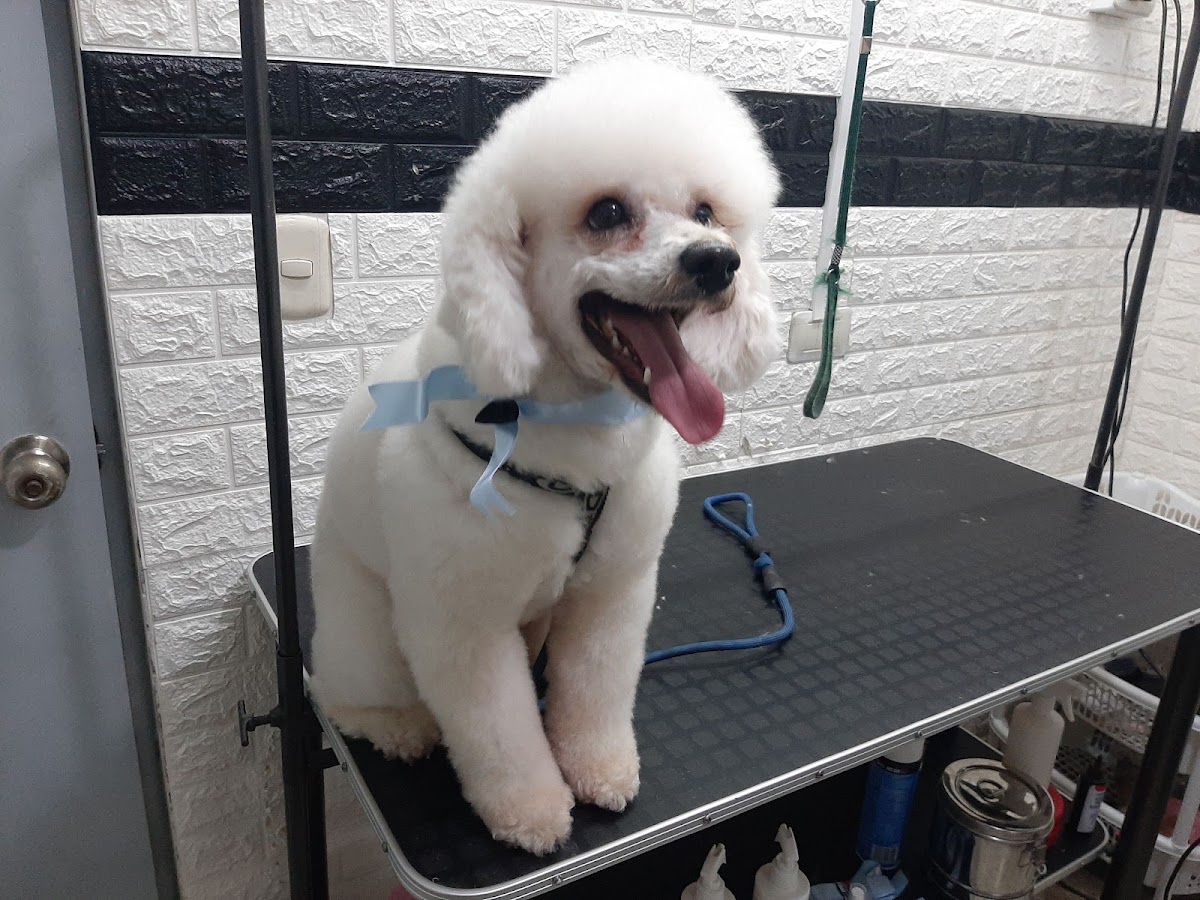 CLINICA VETERINARIA AFRIVET