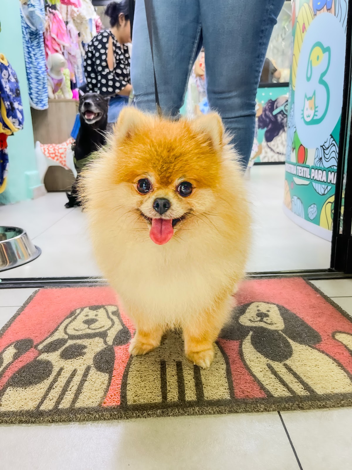 Mascoteria de Brenan | Pet Shop & Spa