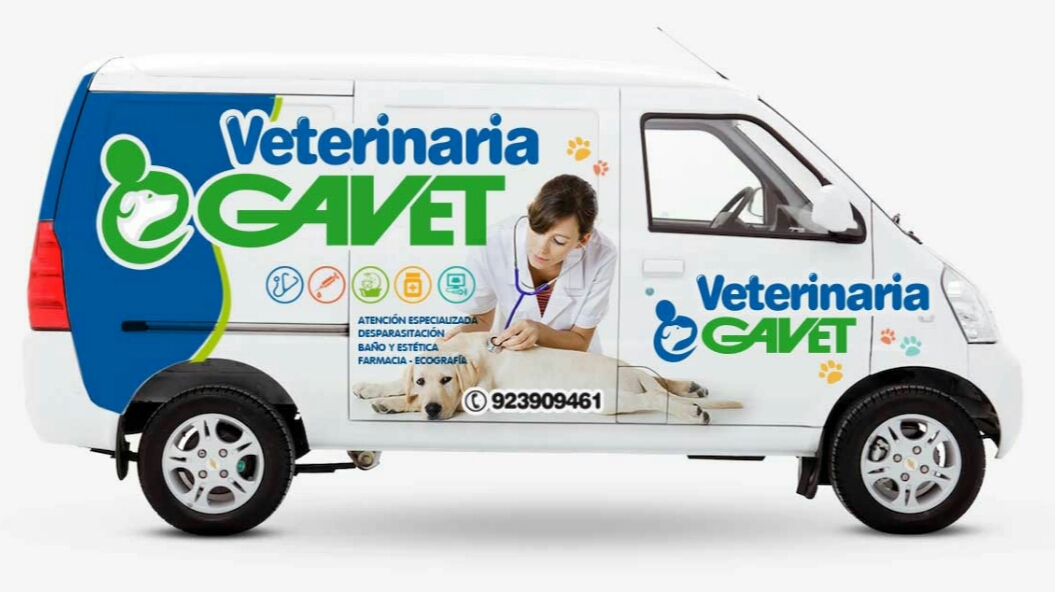 Clínica Veterinaria Gavet - San pedro Carabayllo