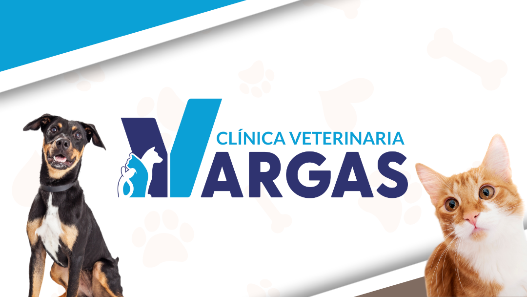 Clínica Veterinaria Vargas