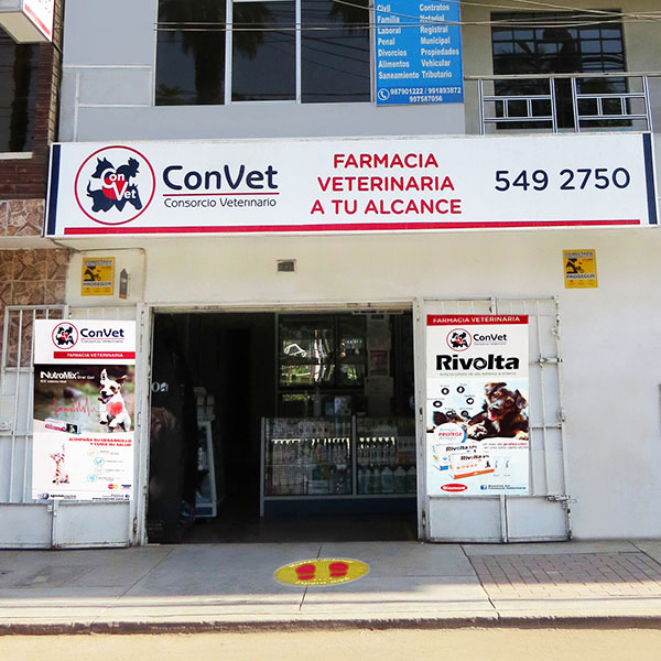 Convet - Puente Piedra