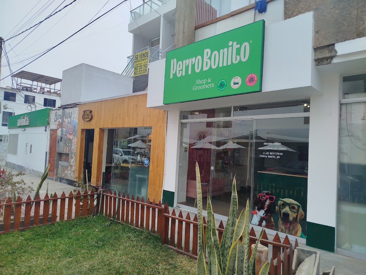 Perro Bonito Ph