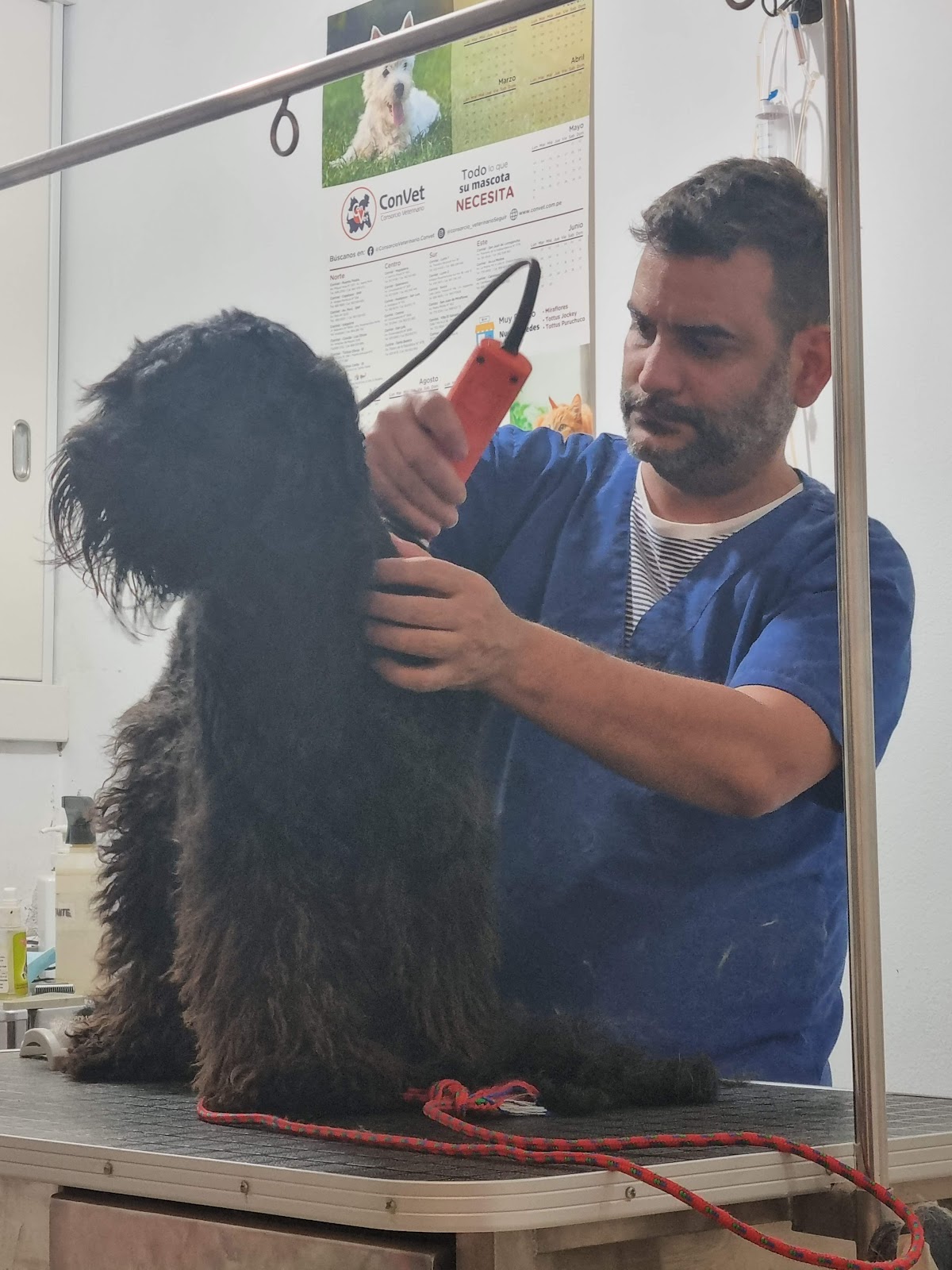 Veterinaria Posta Canina
