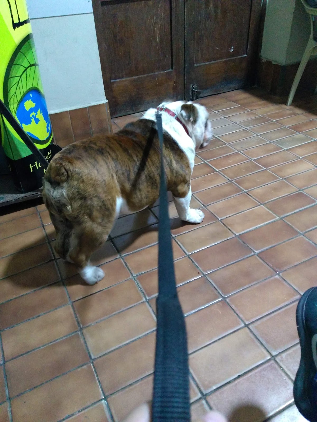 CENTRO VETERINARIO MALCA