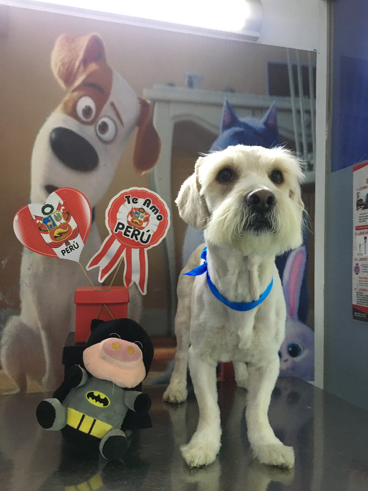 Veterinaria Club De Patas Ate Vitarte