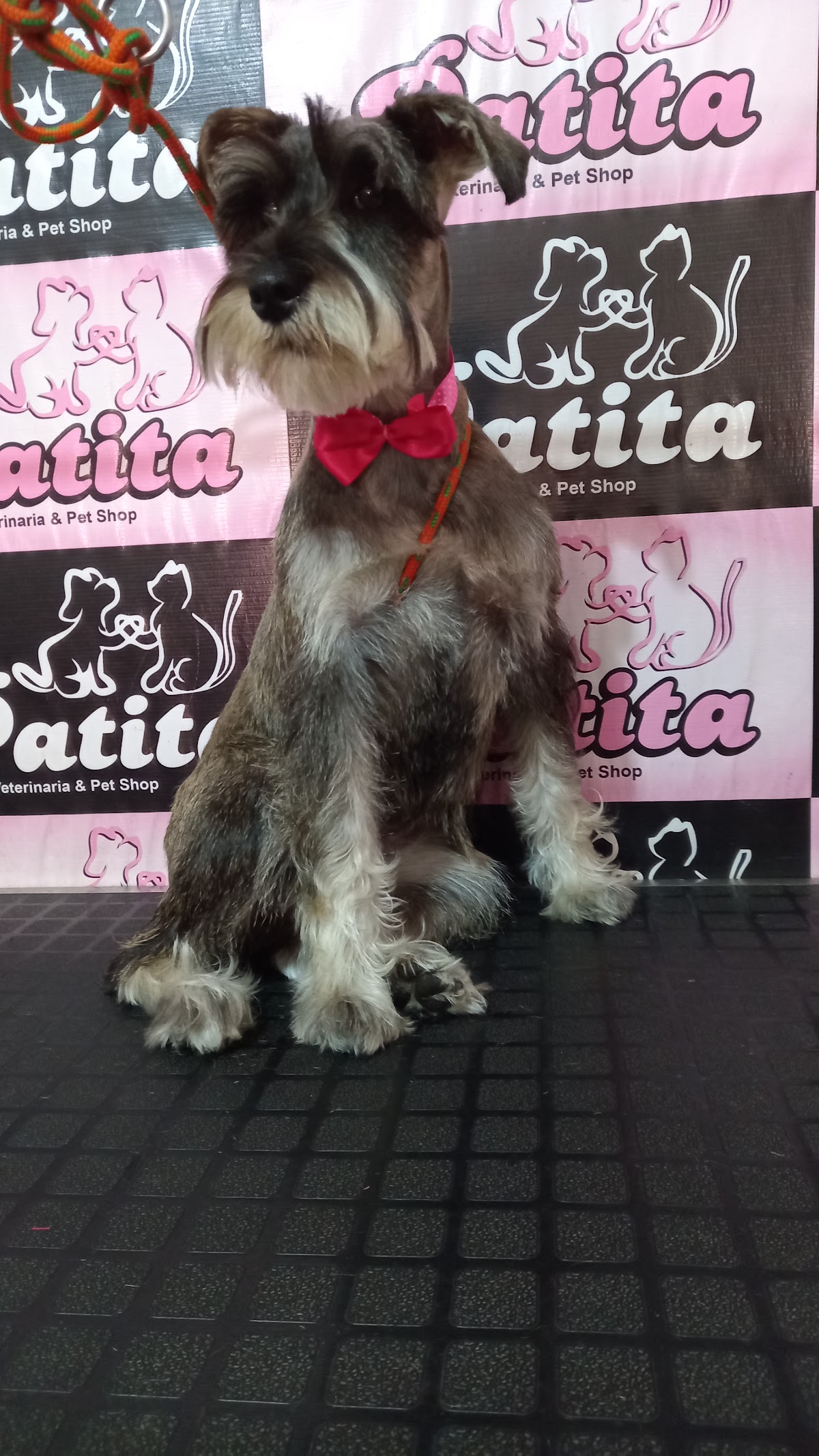 Veterinaria & Pet Shop "Patita"
