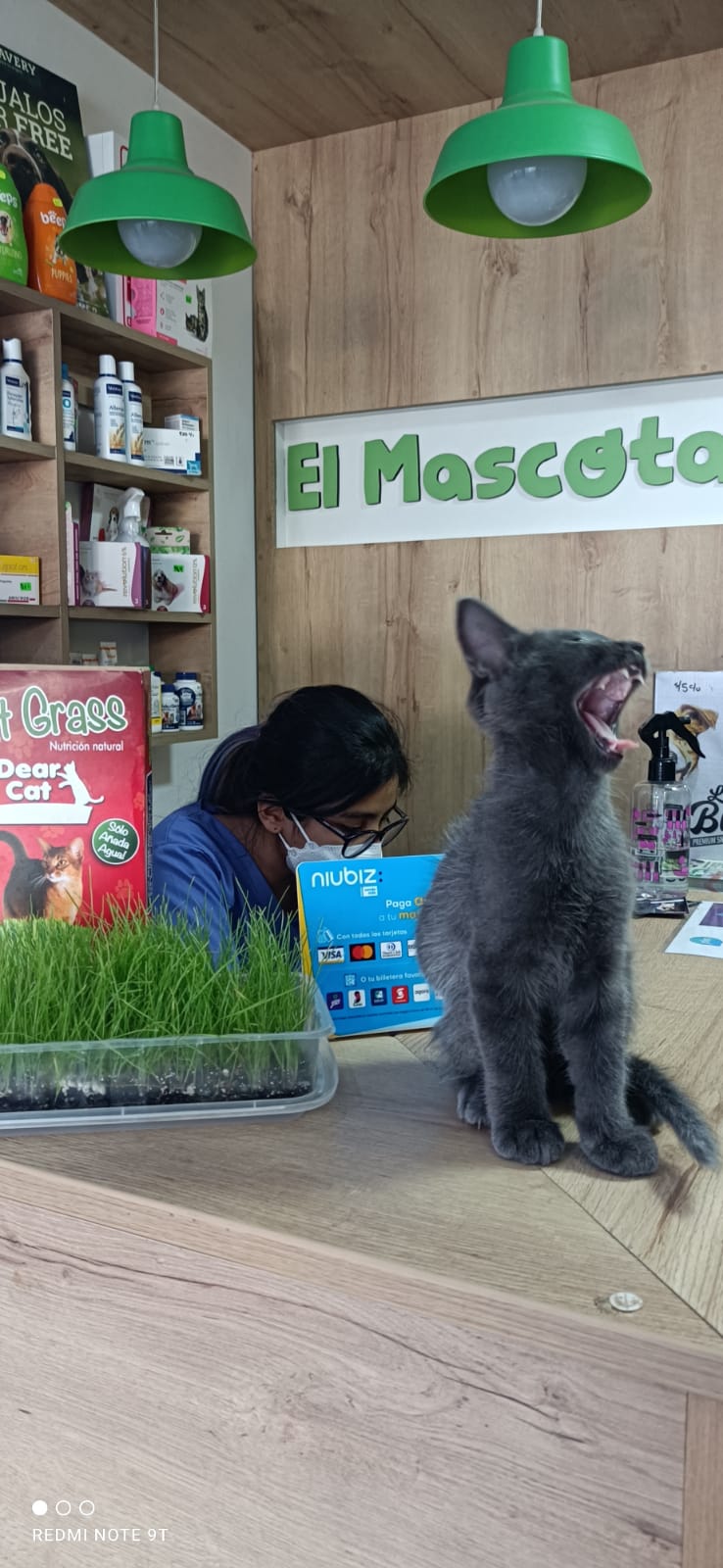 Veterinaria El Mascotario