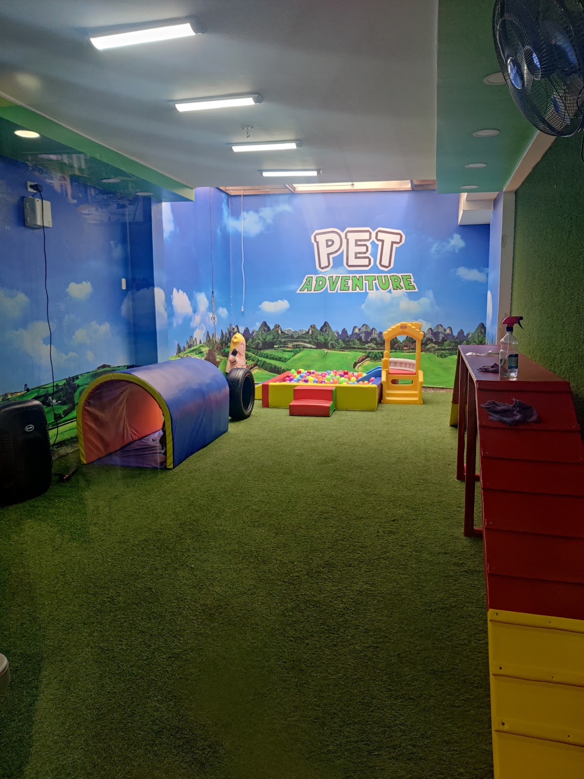 Pet Adventure Club Veterinario