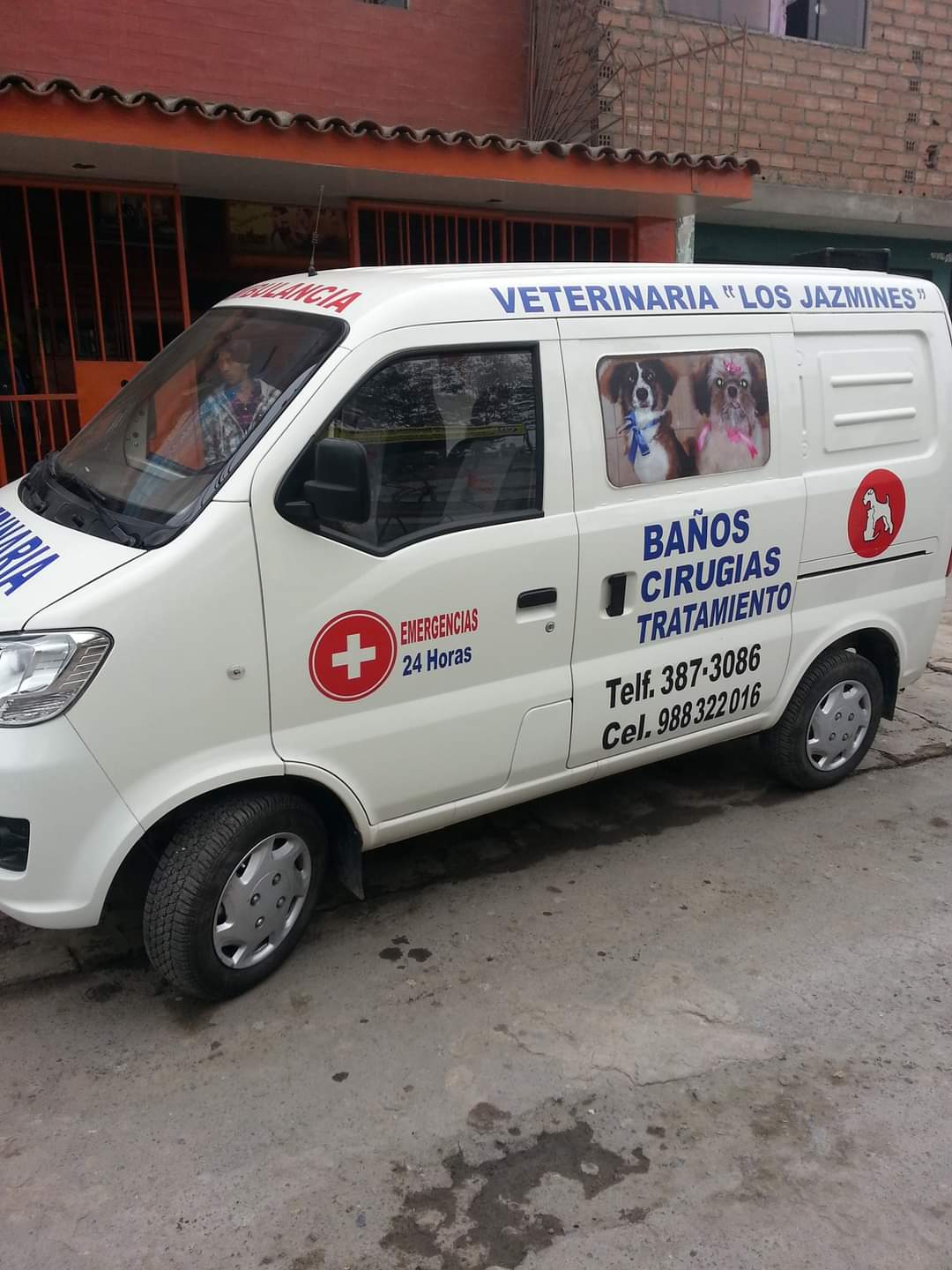 Veterinaria Los Jazmines De San Juan