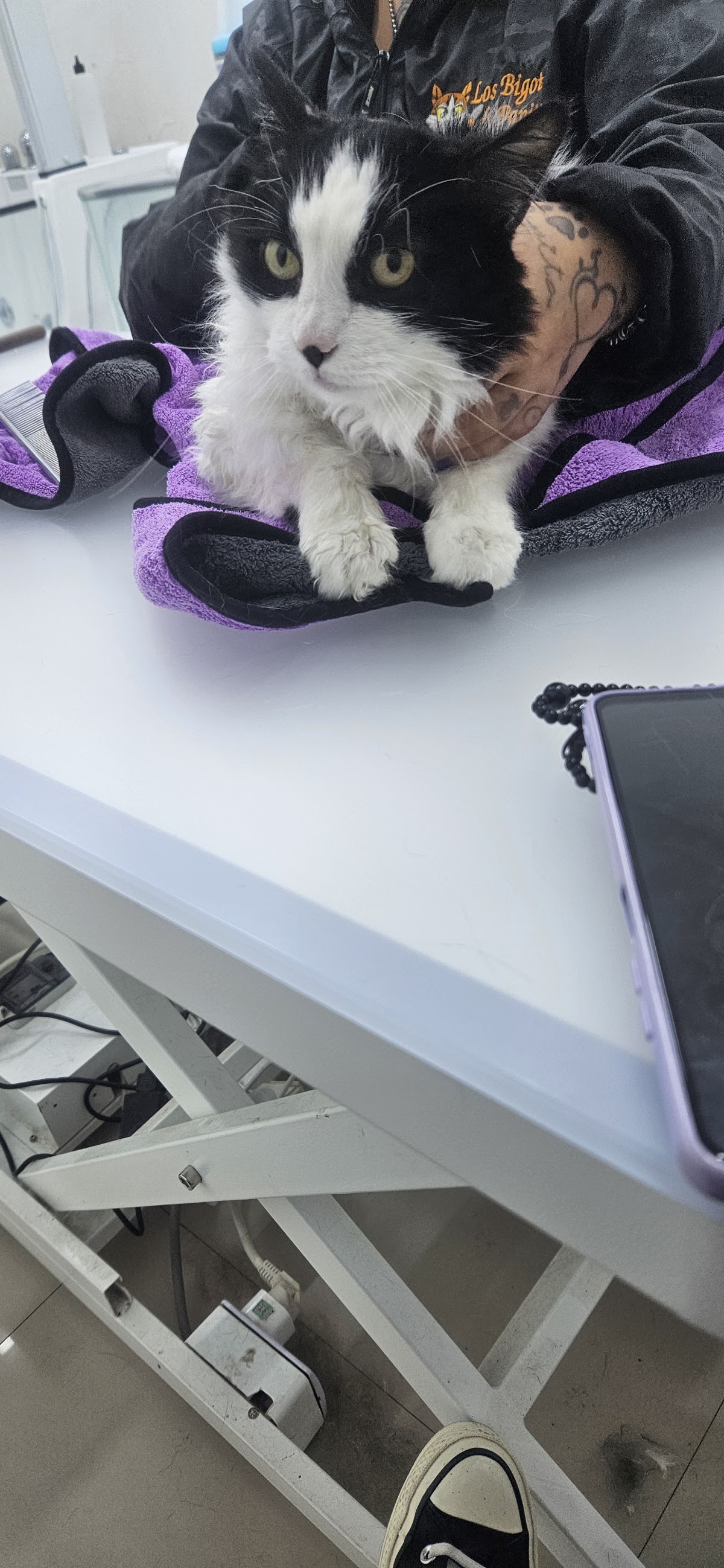 Wisko Veterinaria & Pet Salon