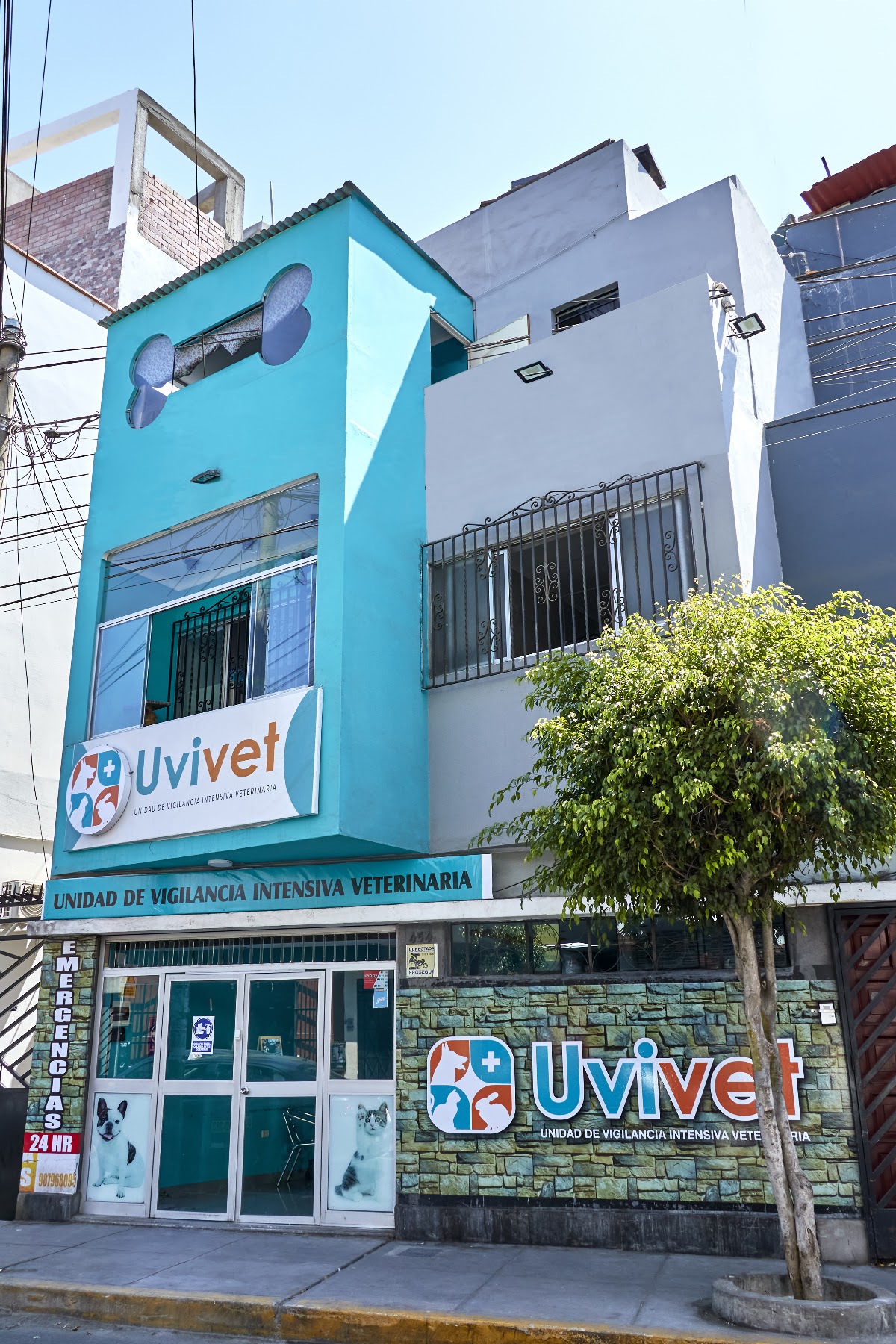 Pet Salud | Clínica Veterinaria en Lima