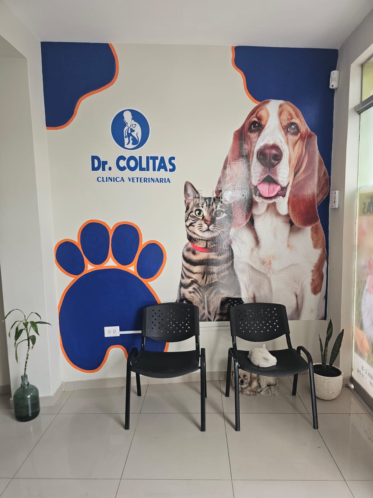 Clínica Veterinaria Dr. Colitas - Sede Cesar Vallejo