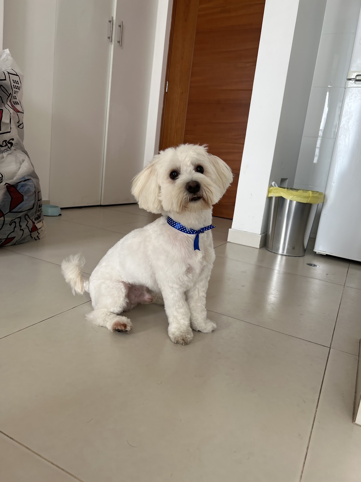 La Patota Vet Spa