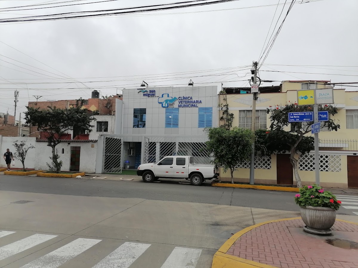 Clinica Veterinaria Municipal