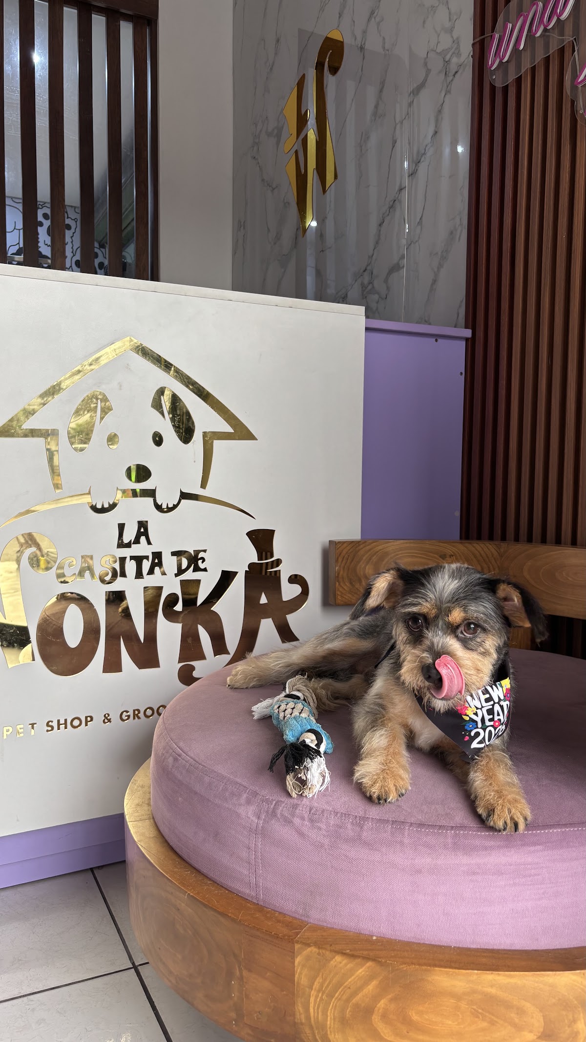 La Casita de Wonka Comas
