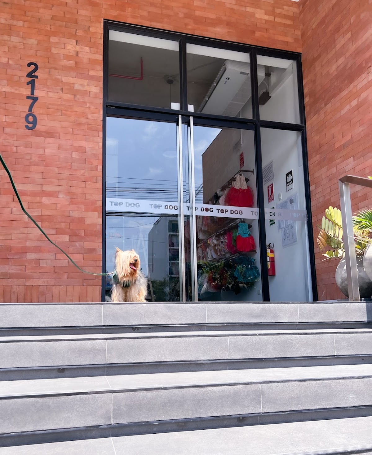 TOP DOG SHOP - MIRAFLORES