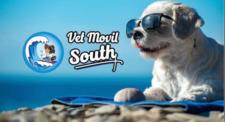 Vetmovil South