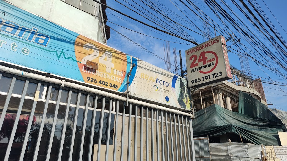 CLINICA VETERINARIA DEL NORTE - ATENCIÓN 24 HORAS