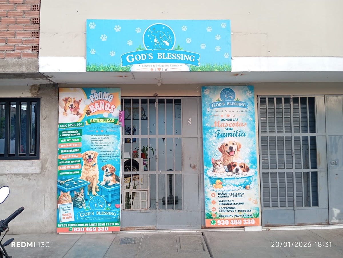 GOD'S BLESSING