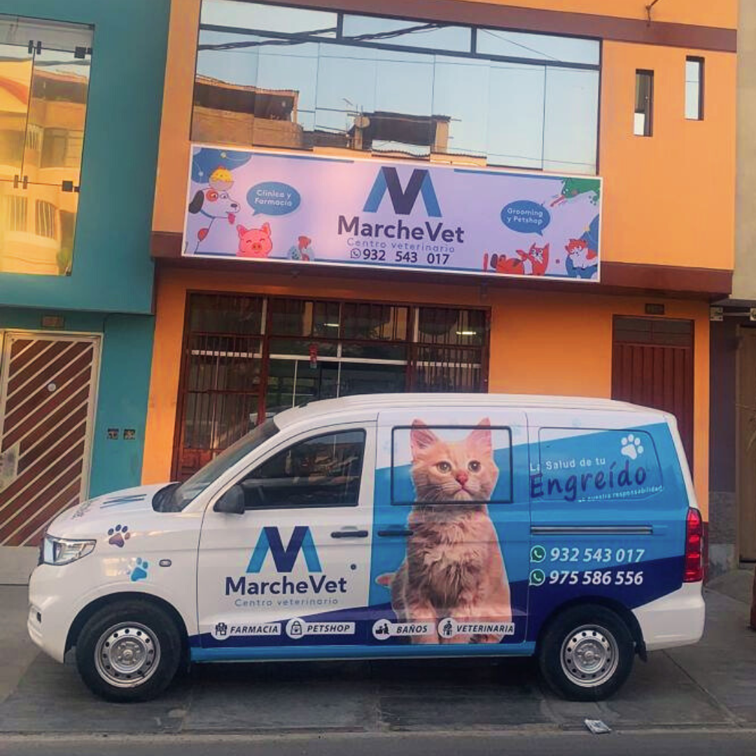 Centro Veterinario MarcheVet