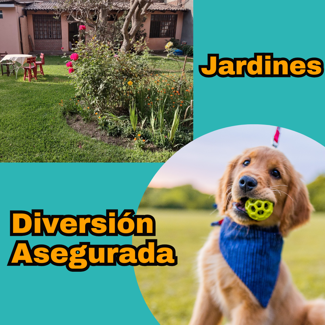 Pet Hotel Chaclacayo