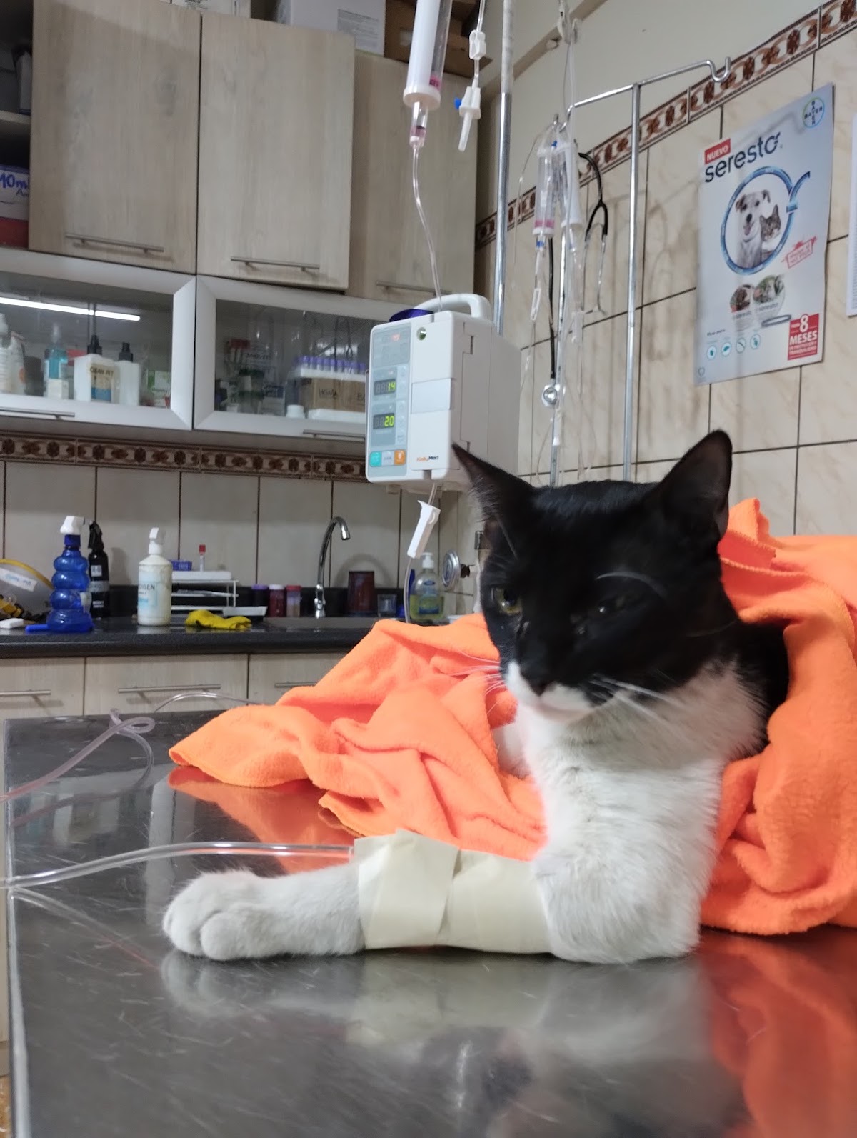 Pet Point Clínica Veterinaria