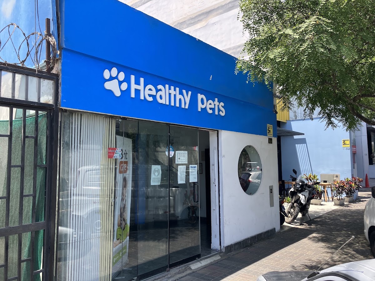 Healthy pets