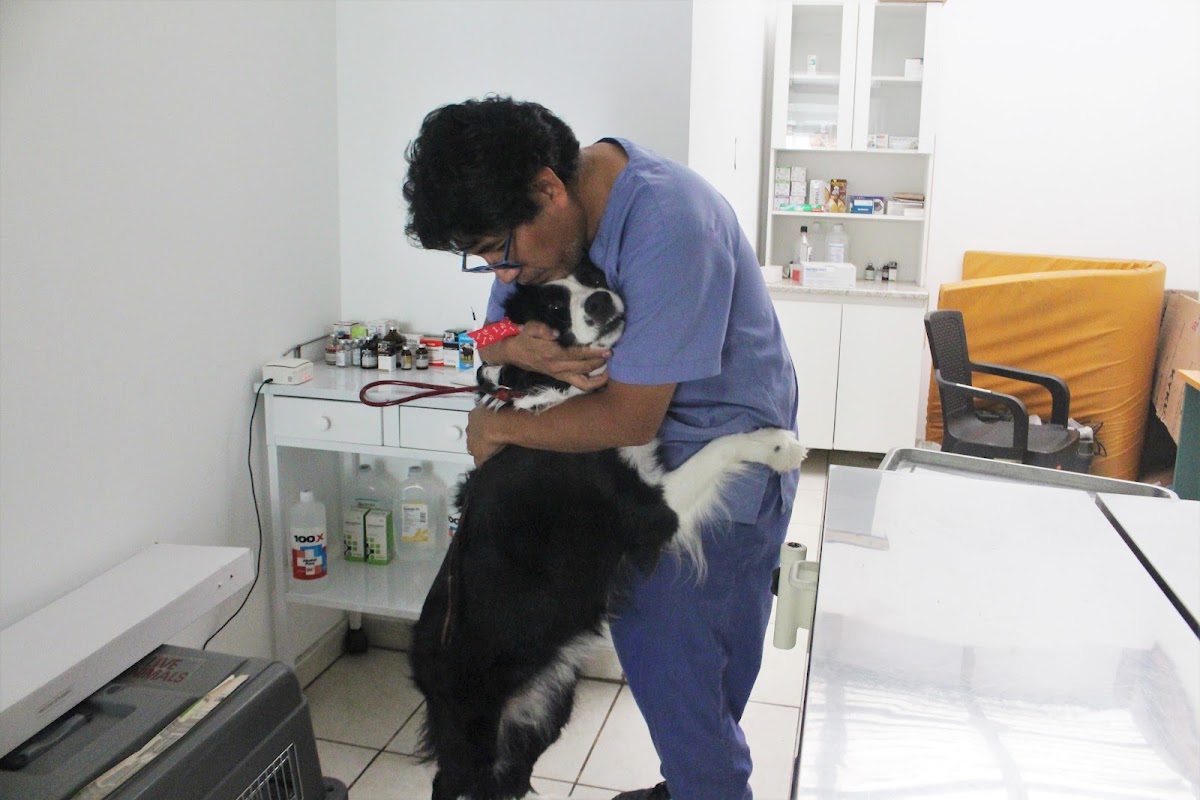 Veterinaria Pardo La Molina