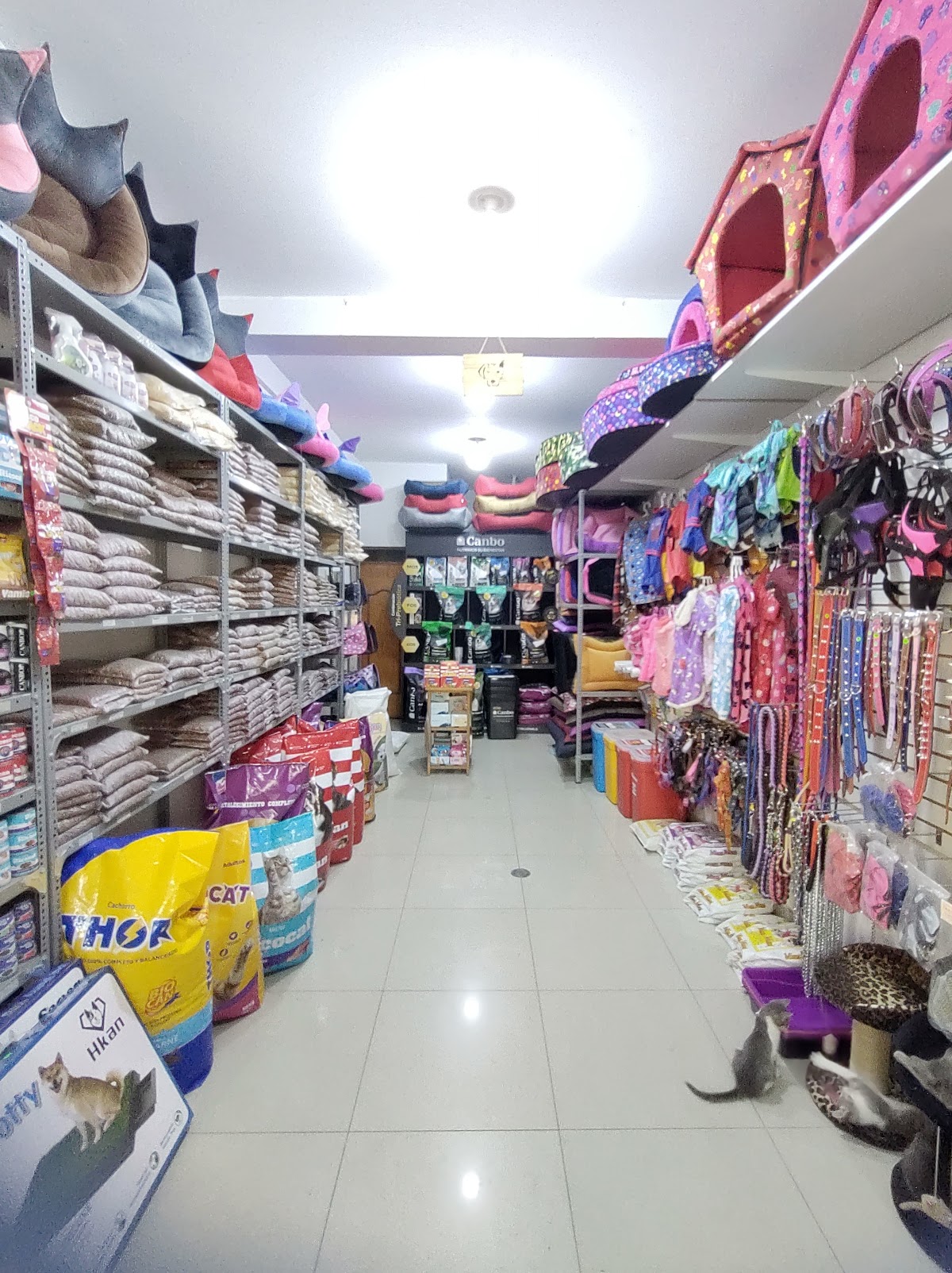 Napo Pets | Grooming & Pet Shop