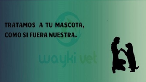 WAYKI VET Consultorio Veterinario