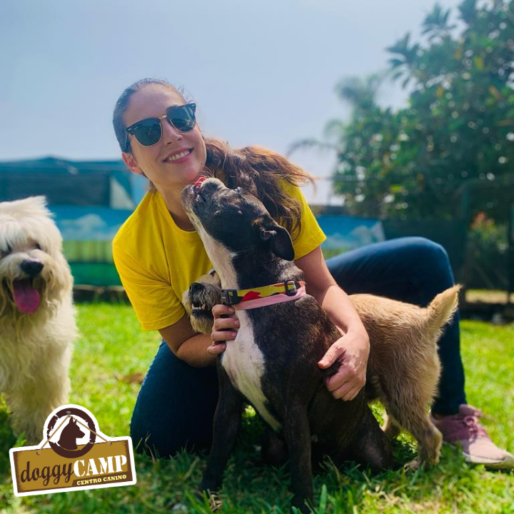 Doggy Camp