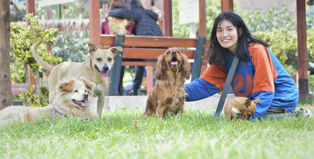 Hospedaje PET HOUSE -Servicios para mascotas en Los Olivos