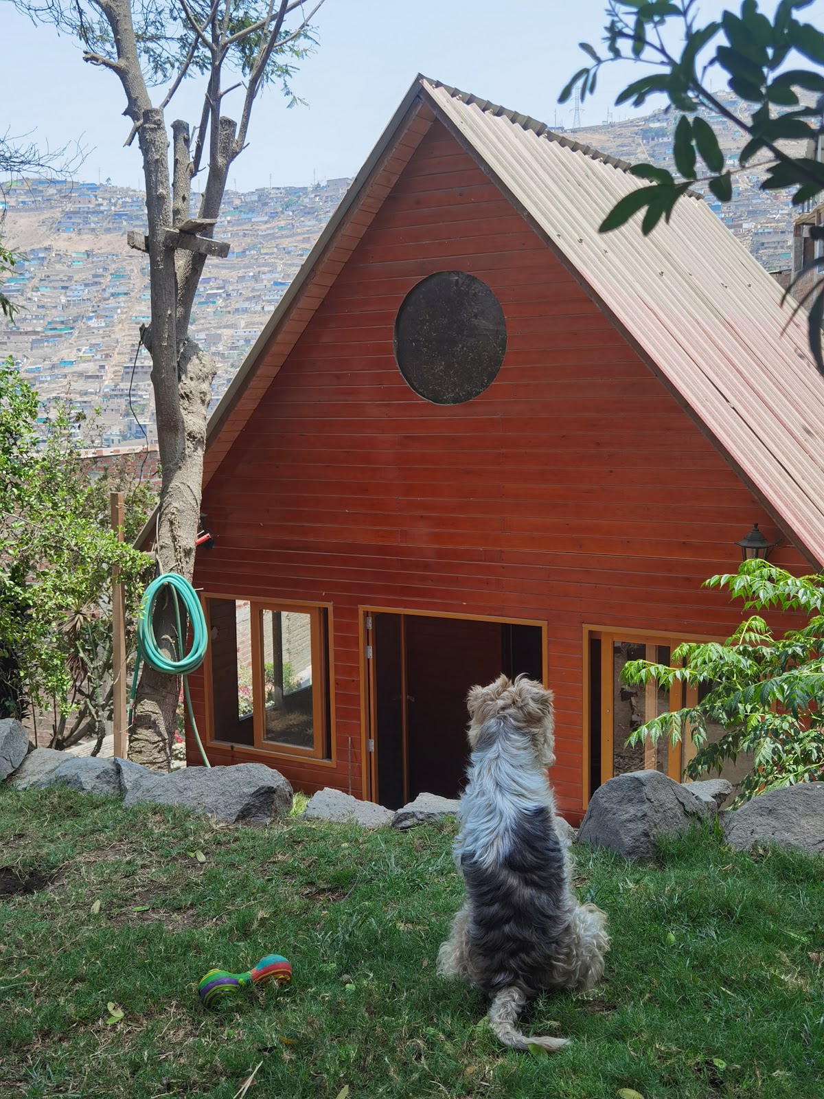 La Manada - Hospedaje canino