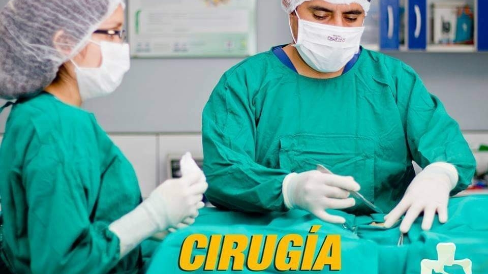 Clínica Veterinaria San Juan